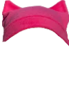 @i_only_downvote_downvoter's hat